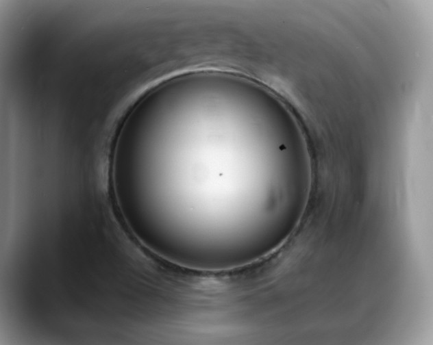 X0000088921504200706081350
