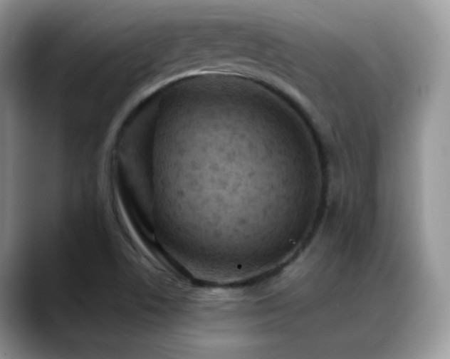 X0000088921506200706081350