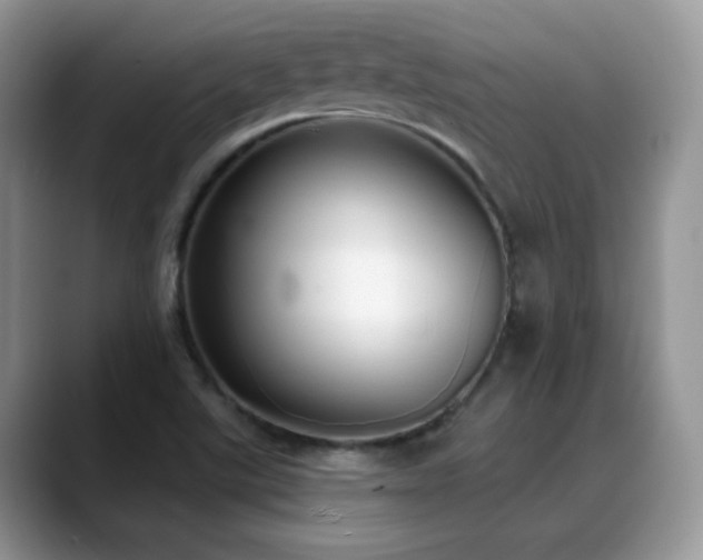 X0000088921507200706081350
