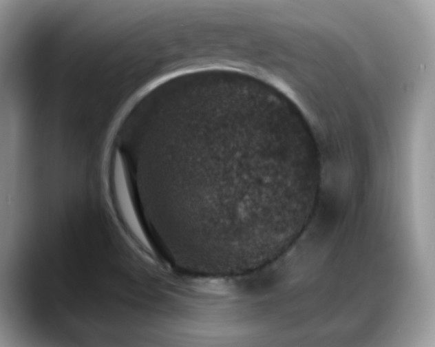 X0000088921508200706081350