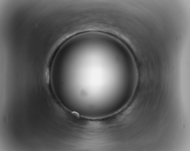 X0000088921509200706081350