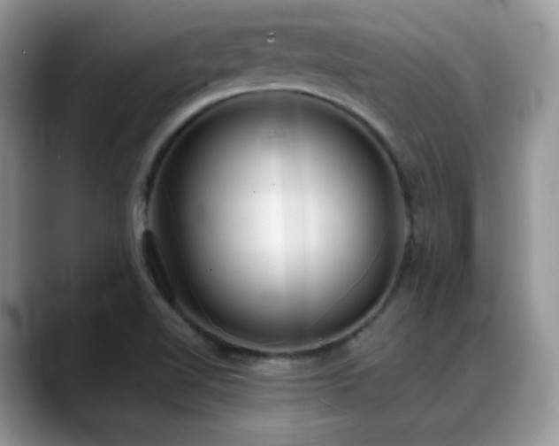 X0000088921510200706081350