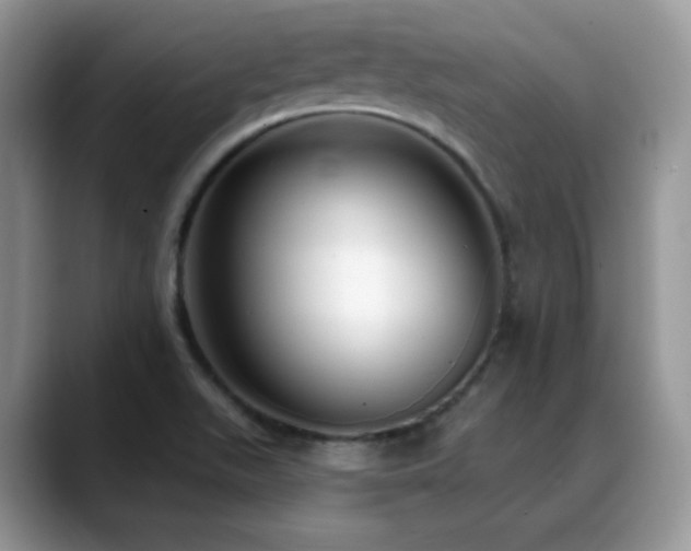 X0000088921511200706081350