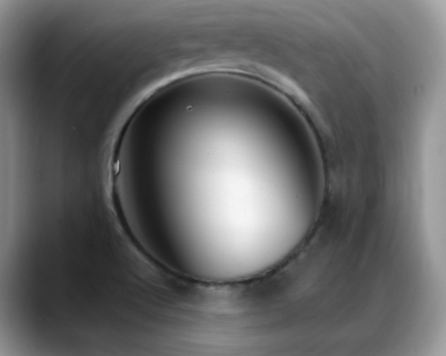 X0000088921512200706081350