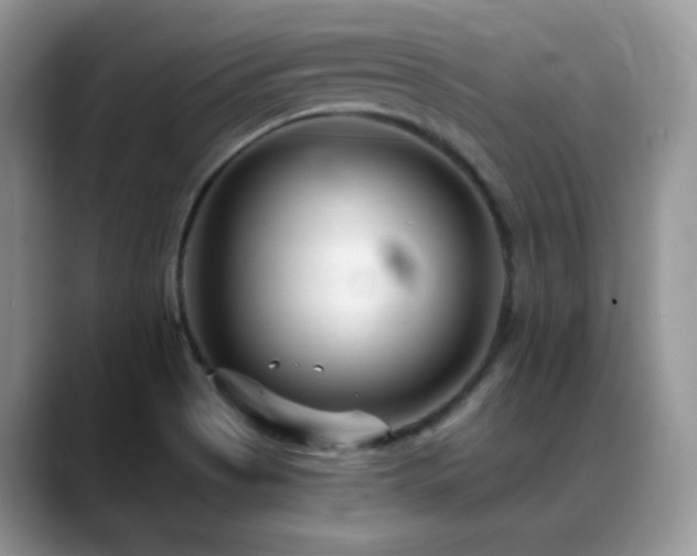 X0000088921513200706081350