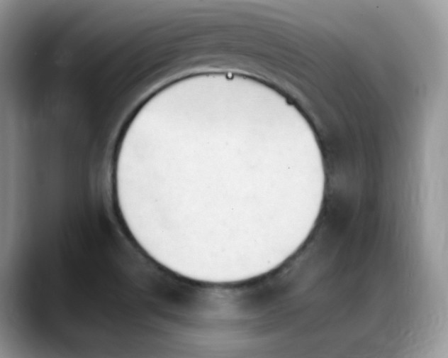 X0000088921514200706081350