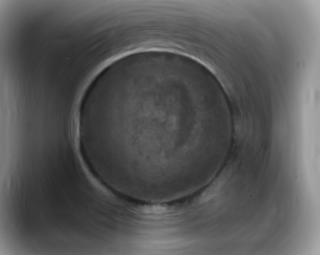 X0000088921515200706081350