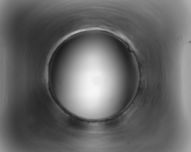 X0000088921516200706081350