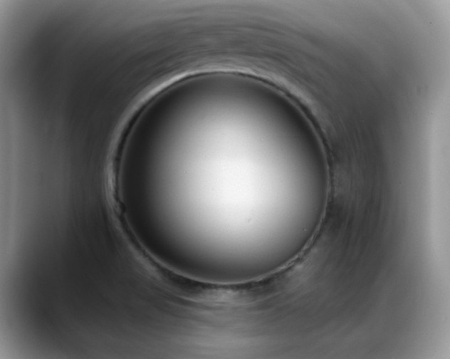 X0000088921517200706081350