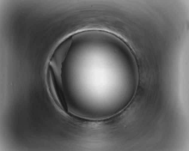 X0000088921519200706081350