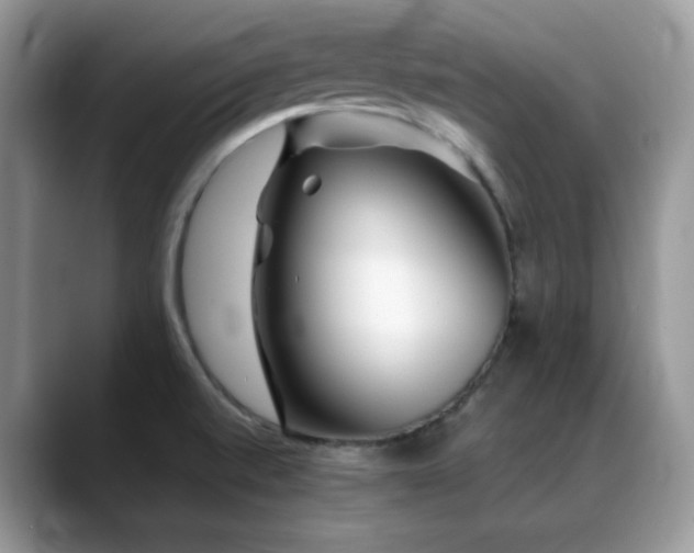 X0000088921520200706081350