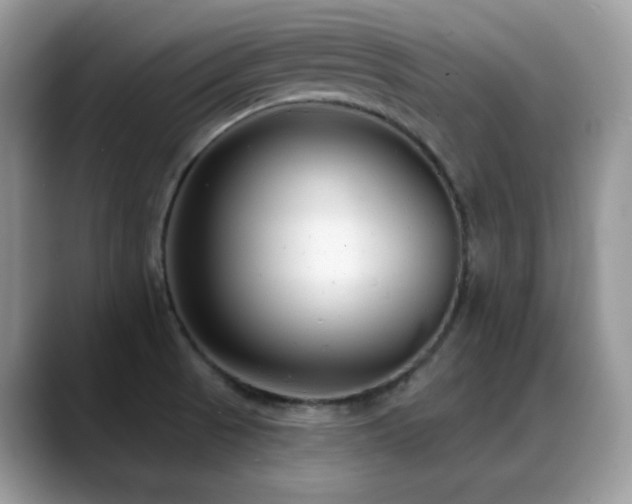 X0000088921521200706081350