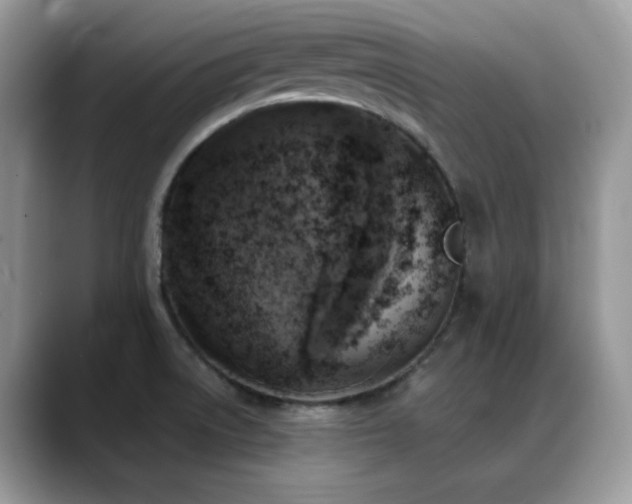 X0000088921522200706081350