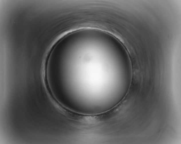 X0000088921523200706081350