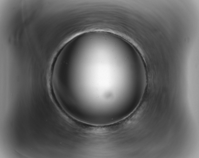 X0000088921525200706081350