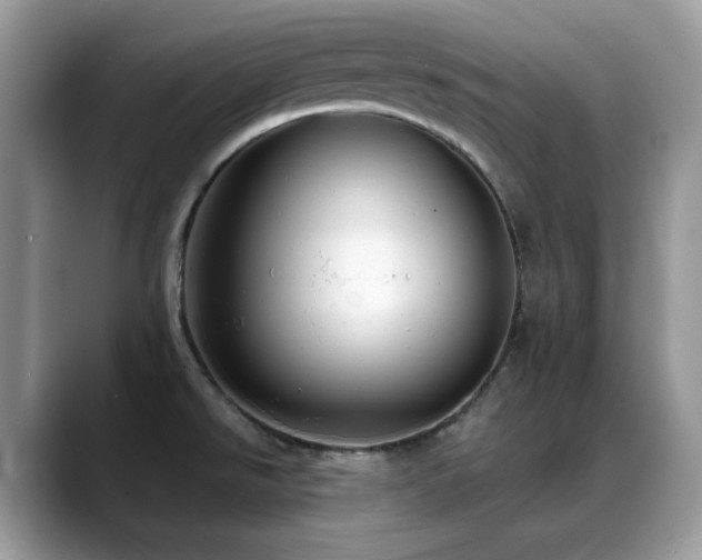 X0000088921526200706081350