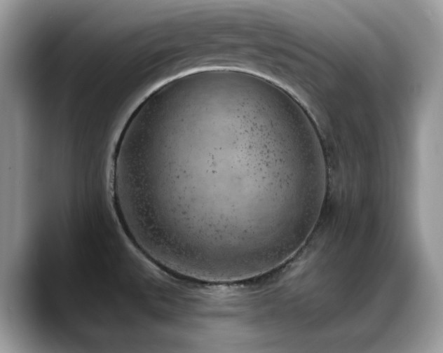 X0000088921527200706081350
