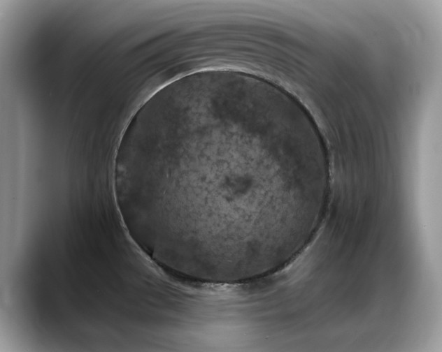 X0000088921529200706081350