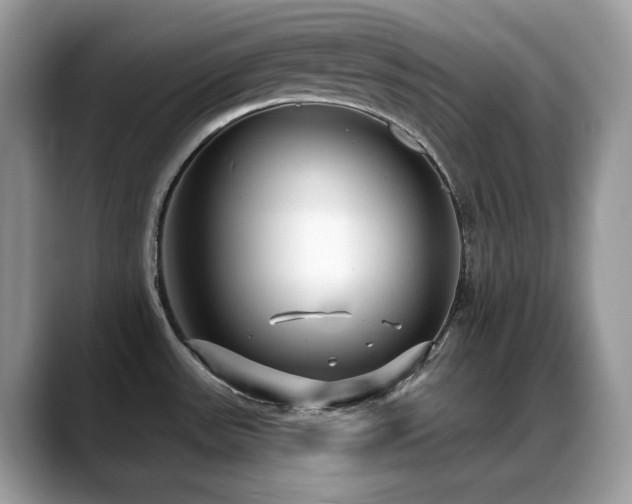 X0000088921531200706081350