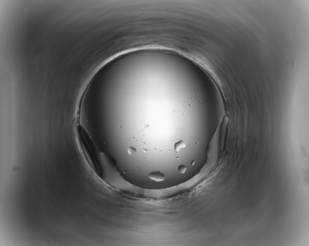 X0000088921532200706081350