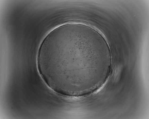 X0000088921533200706081350