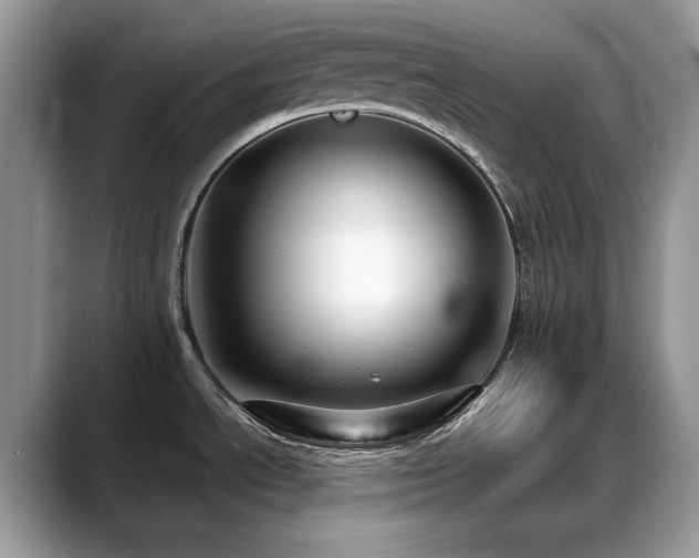 X0000088921534200706081350