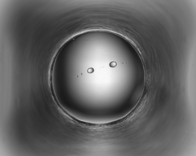 X0000088921535200706081350