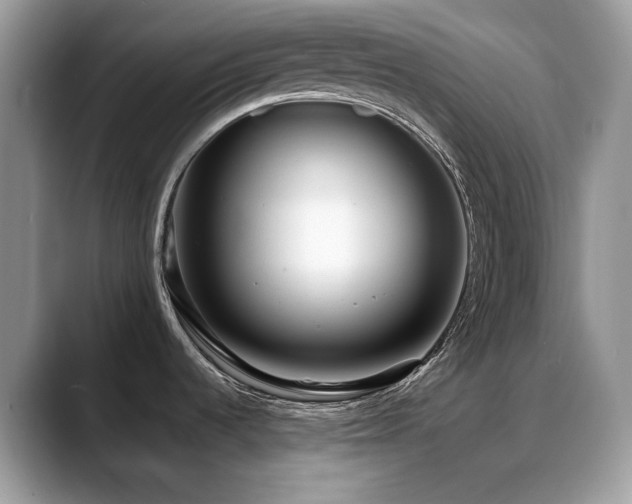 X0000088921536200706081350