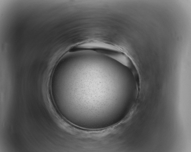 X0000088920001200706151933