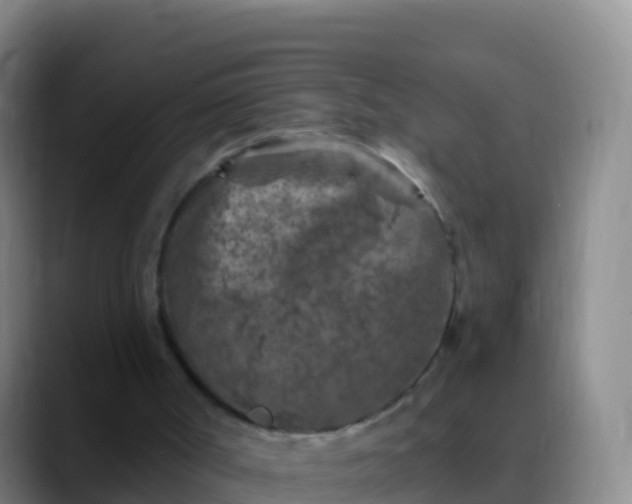 X0000088920002200706151933