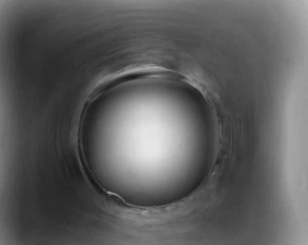 X0000088920003200706151933