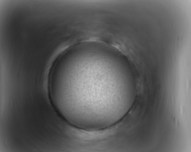 X0000088920006200706151933