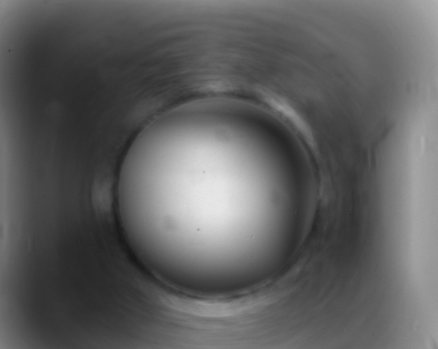 X0000088920010200706151933