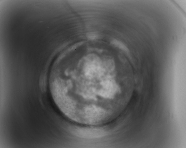 X0000088920012200706151933