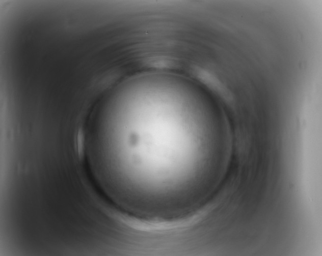 X0000088920014200706151933