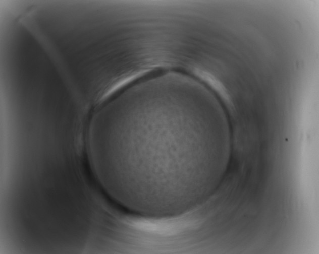 X0000088920017200706151933