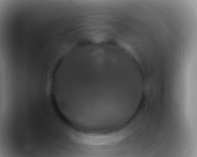 X0000088920018200706151933