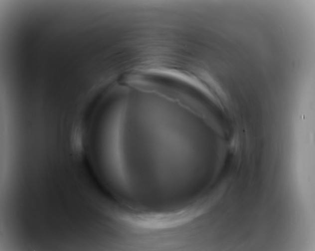 X0000088920023200706151933