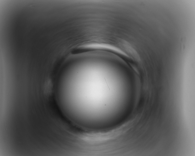 X0000088920025200706151933