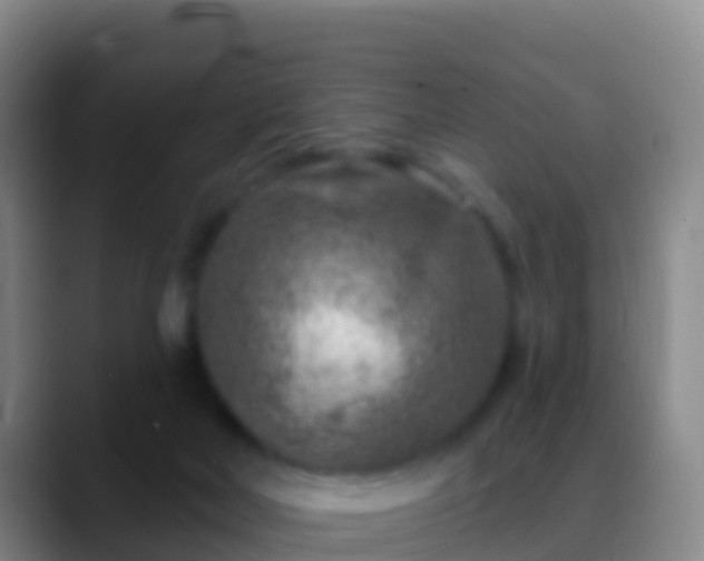 X0000088920026200706151933