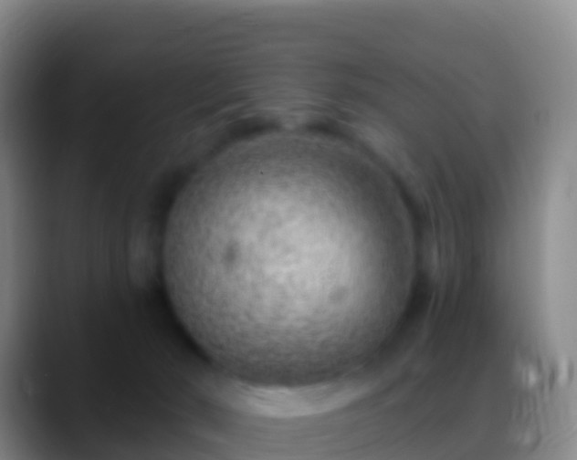 X0000088920030200706151933
