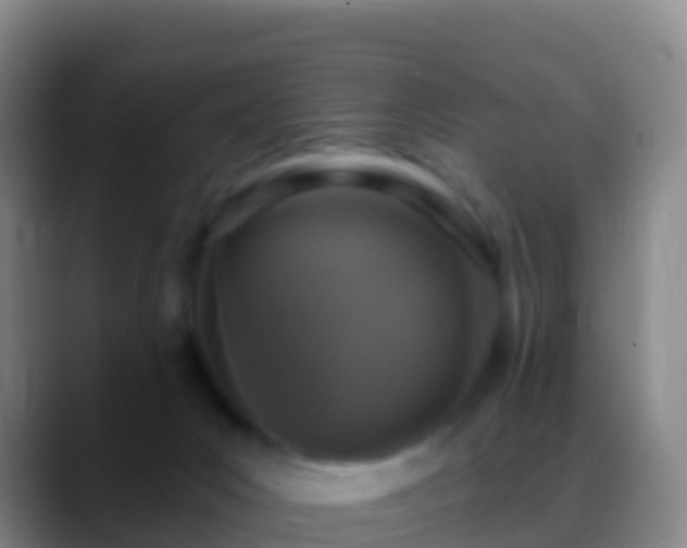 X0000088920031200706151933