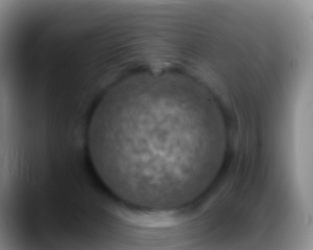 X0000088920032200706151933
