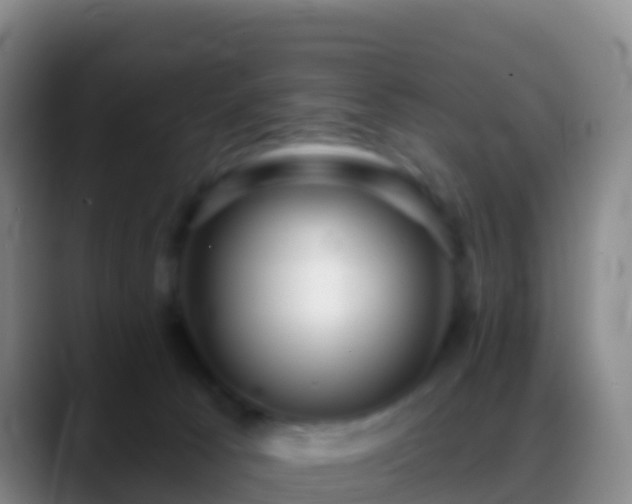 X0000088920033200706151933