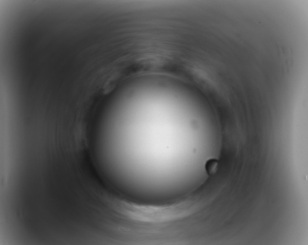 X0000088920034200706151933