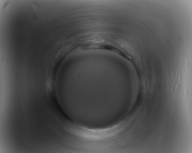 X0000088920035200706151933