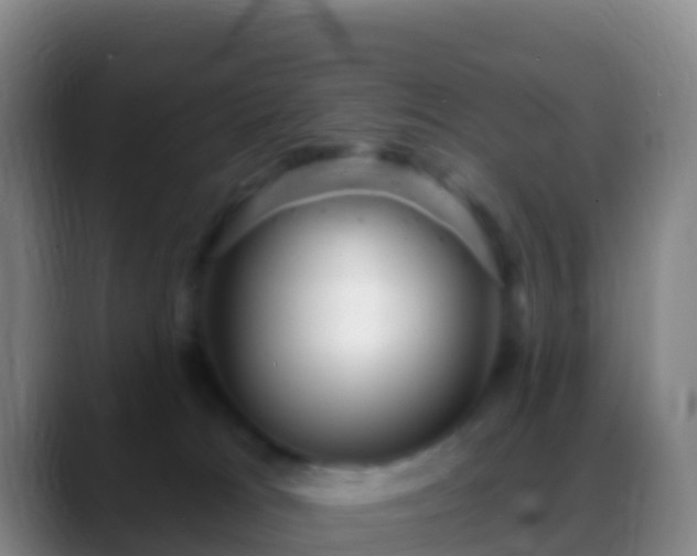 X0000088920037200706151933