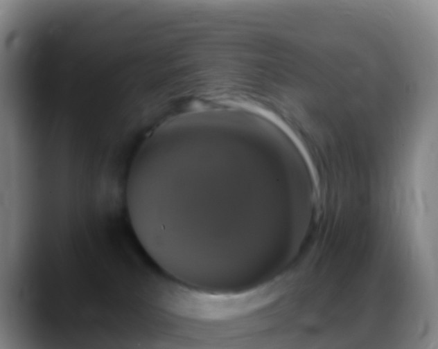 X0000088920039200706151933