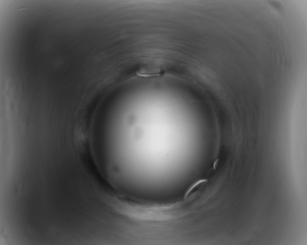 X0000088920040200706151933