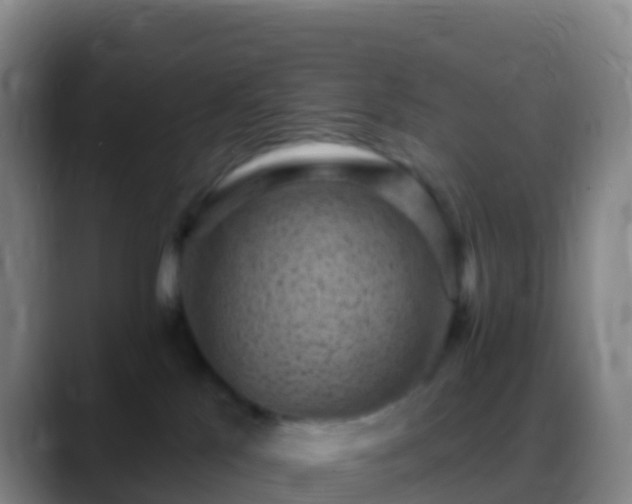 X0000088920041200706151933